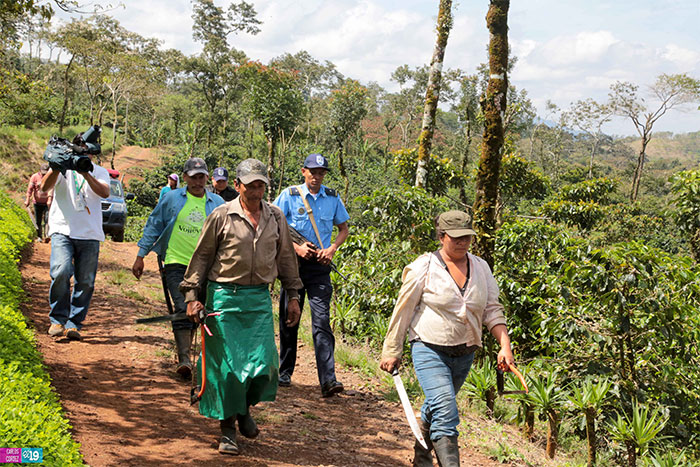 Plan de Seguridad en el Campo, brinda excelentes resultados en Boaco y Chontales