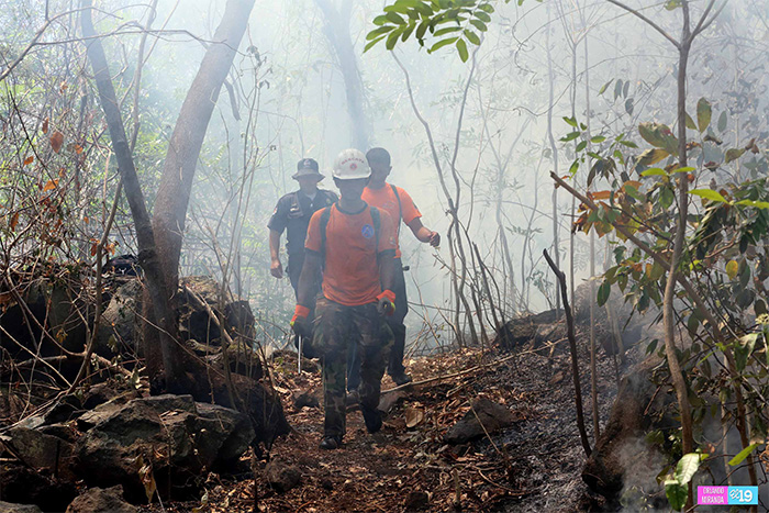 Incendio en el Mombacho ya ha arrasado 91 manzanas