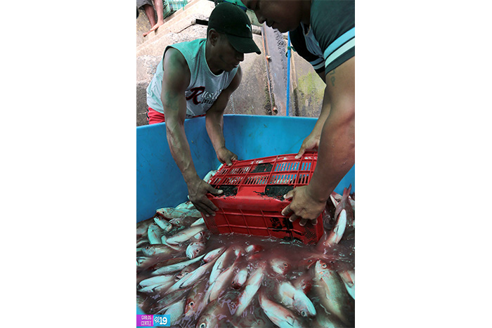 Pescadores de San Juan del Sur fortalecen sus capacidades productivas