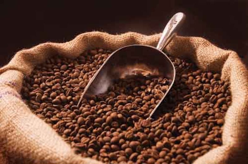 Empresa alemana apoya comercio justo de café cultivado por campesinas jinoteganas