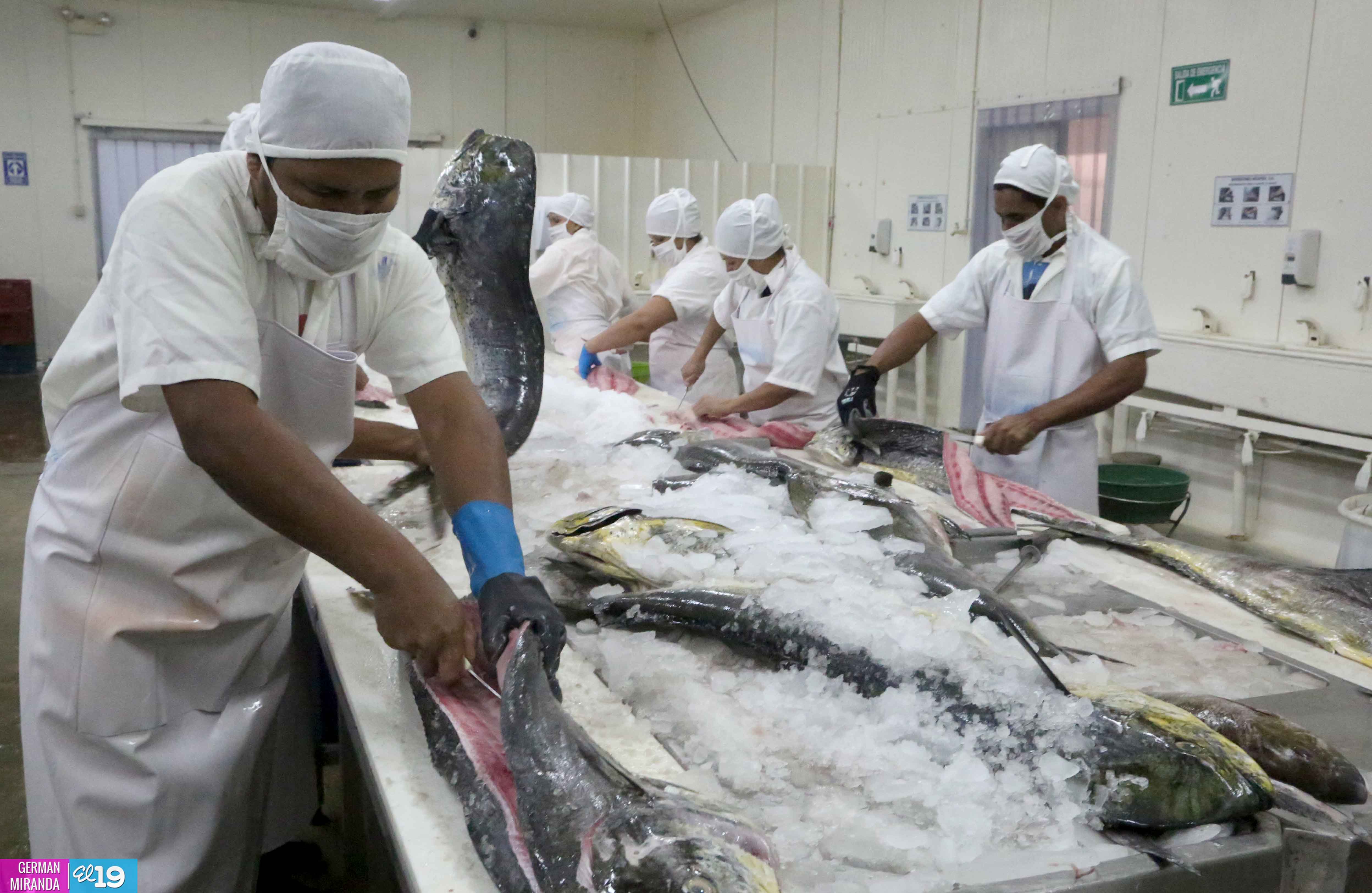Explotación racional y sostenible de recursos pesqueros garantiza exportaciones todo el año