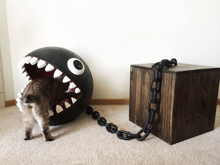 Un hombre creó una cama muy original para su mascota