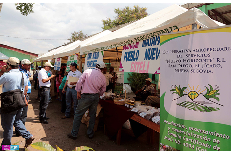 Inta y Fao desarrollan taller de capacidades para garantizar producción de semillas criollas y acriolladas
