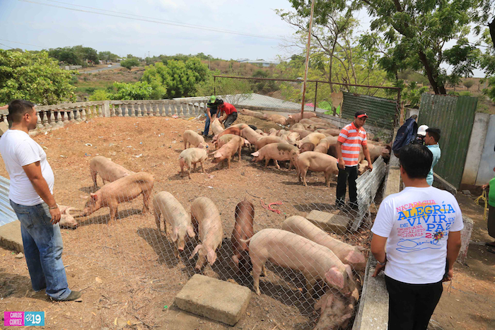 Entregan Bono Productivo a familias de Managua
