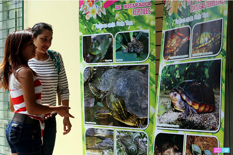 Concluye campaña de la tortuga marina ”Ayúdame a Vivir 2014–2015”