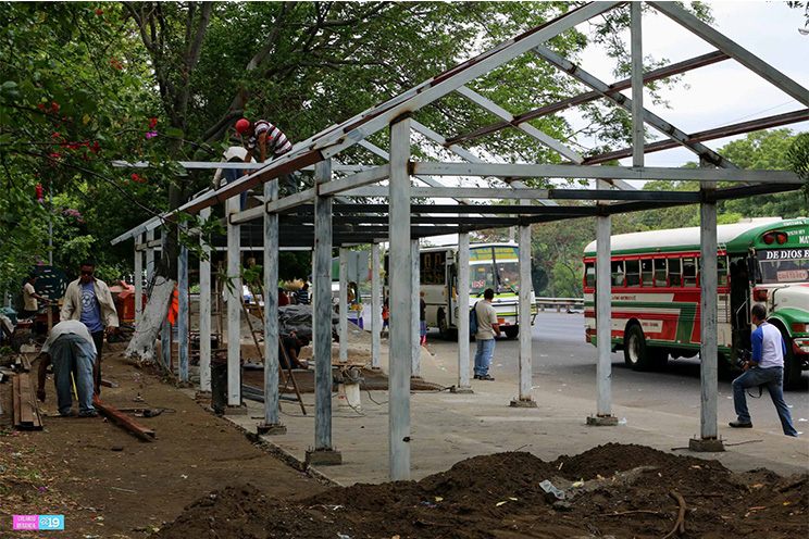 Avanza construcción de nuevas paradas de buses en Carretera Norte