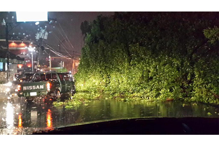 Gobierno movilizado ante afectaciones por lluvias en todo el país