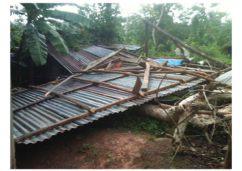 Afectaciones por tornado en Rancho Grande, Matagalpa (FOTOS)