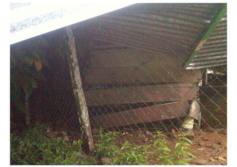 Afectaciones por tornado en Rancho Grande, Matagalpa (FOTOS)
