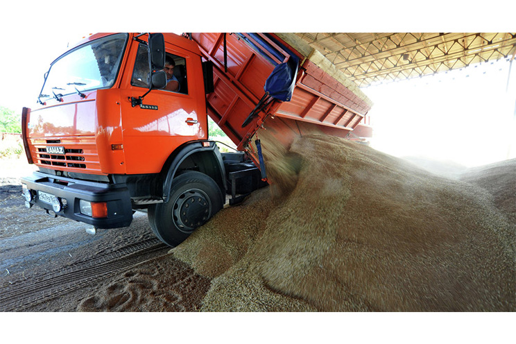 Nicaragua firma con Rusia acuerdo para importación de 160.000 toneladas de trigo