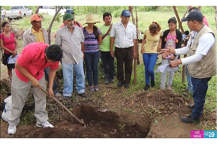 Habitantes de San Andrés de la Palanca fortalecen sus conocimientos con las escuelas de campo
