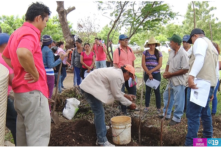 Habitantes de San Andrés de la Palanca fortalecen sus conocimientos con las escuelas de campo
