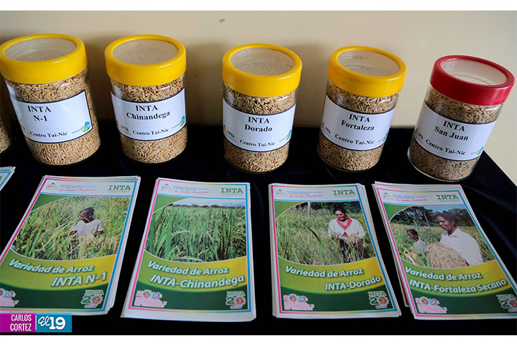 Taiwán dota a Nicaragua de laboratorios de investigación y producción de arroz, hortalizas y frutas