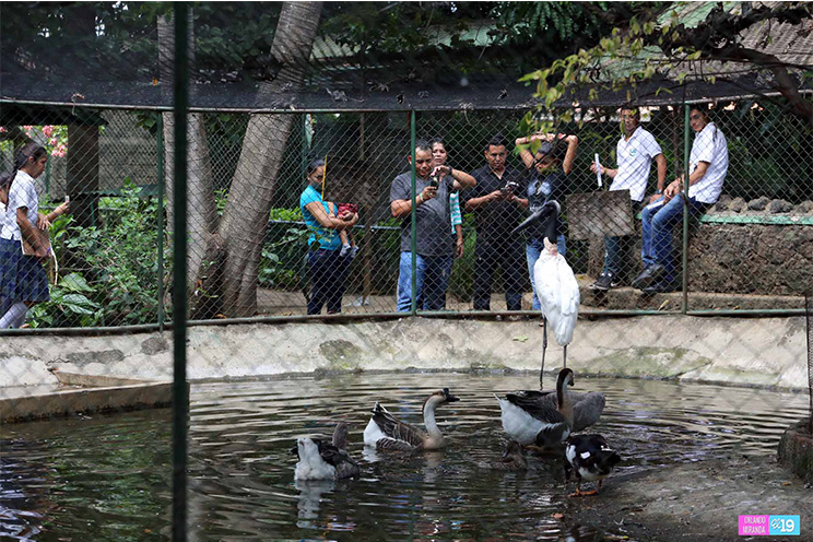 Zoológico Nacional estrena galerón de aves exóticas