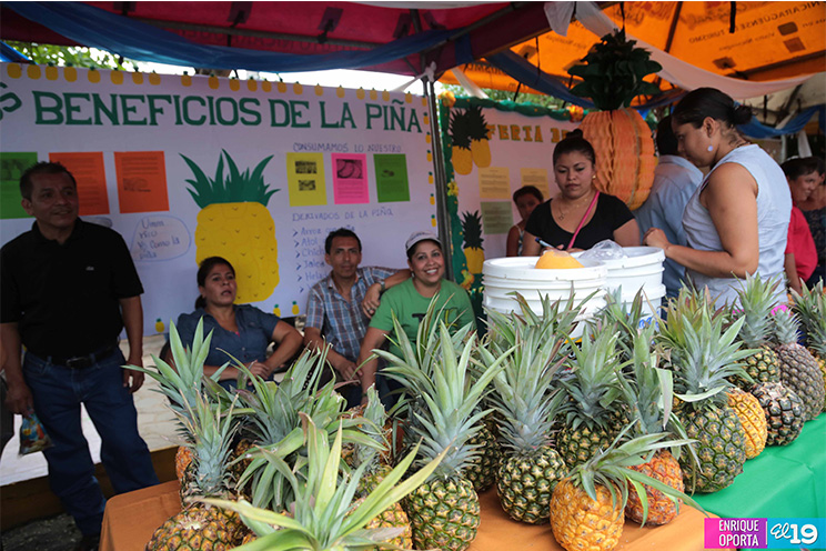 Ticuantepeños realizan festival de la piña