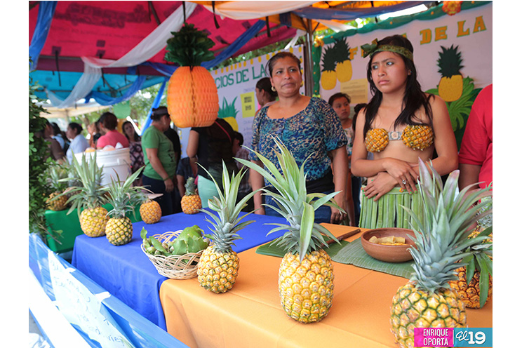 Ticuantepeños realizan festival de la piña