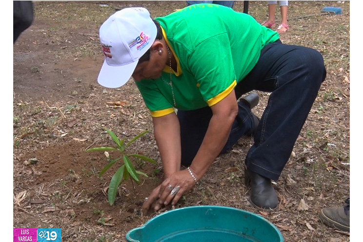 Villa Venezuela inaugura remozamiento de parque con jornada de reforestación