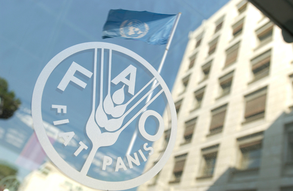 Nueva representante de la FAO presentó Cartas Credenciales ante el Canciller Samuel Santos