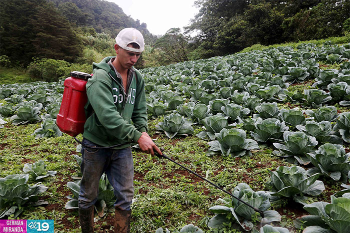 Ministros de Agricultura precisarán acciones para enfrentar el cambio climático en la región