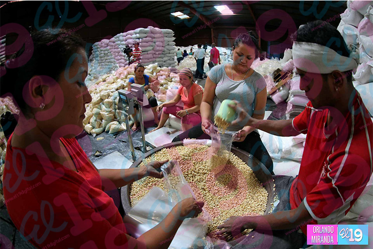 Gobierno envía primer cargamento de alimentos a municipios del Corredor Seco