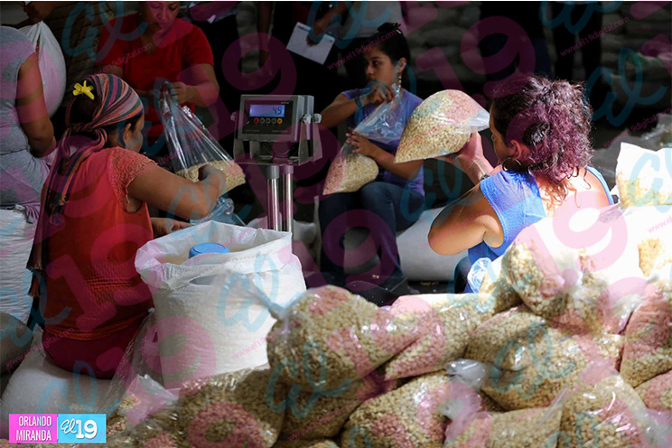 Gobierno envía primer cargamento de alimentos a municipios del Corredor Seco
