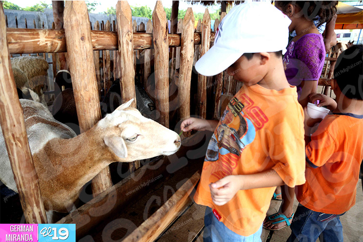 Feria de la Economía Familiar, un lugar de aprendizaje para niños y grandes