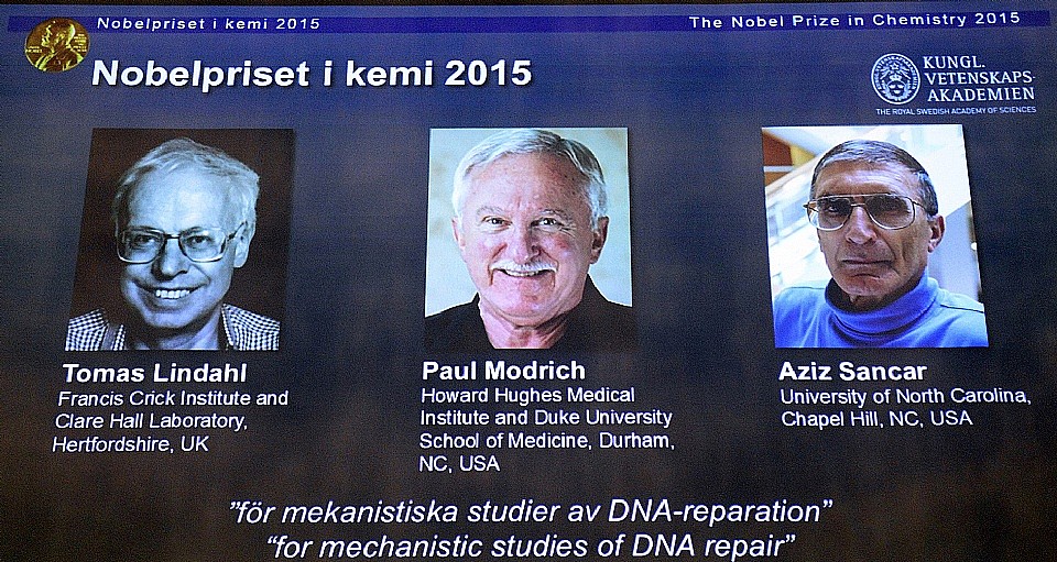 Nobel de química por la reparación del ADN