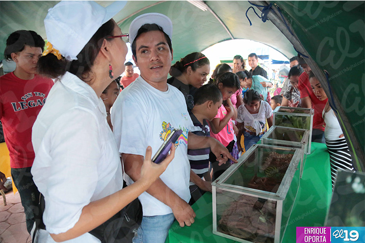 Población disfruta exposición de instituciones de gobierno en el Paseo del Estudiante