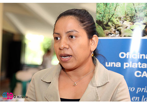 Cobertura arbórea importante para fincas