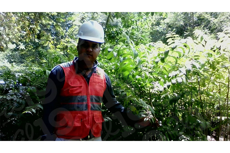 Responsabilidad ambiental de B2Gold está orientada a la reforestación en Mina El Limón