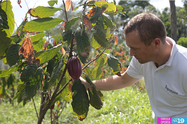 Productores de cacao contarán con herramienta tecnológica para mejorar producción