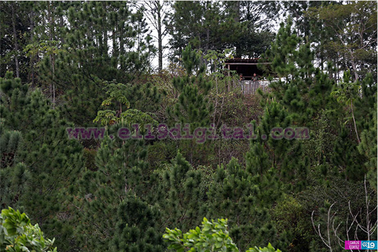 Presentan plan contra incendios forestales