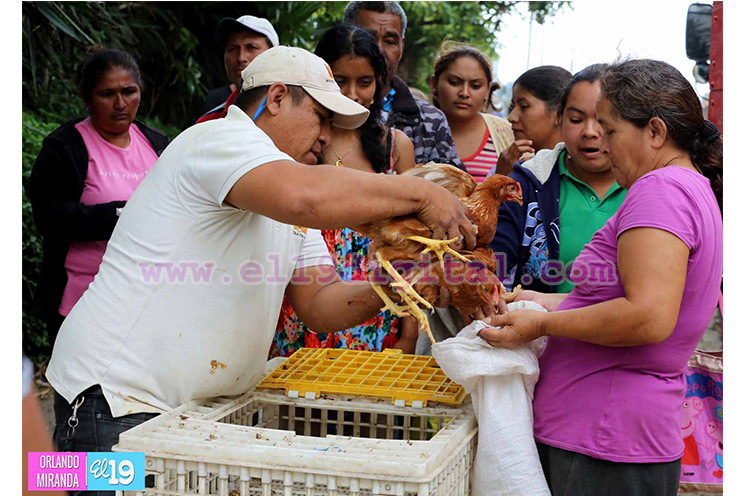 Familias de El Crucero reciben Bono Alimentario para convertirse en sujetos productivos
