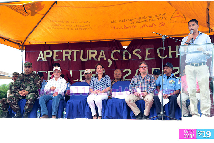 Managua inaugura la cosecha cafetalera 2015-2016