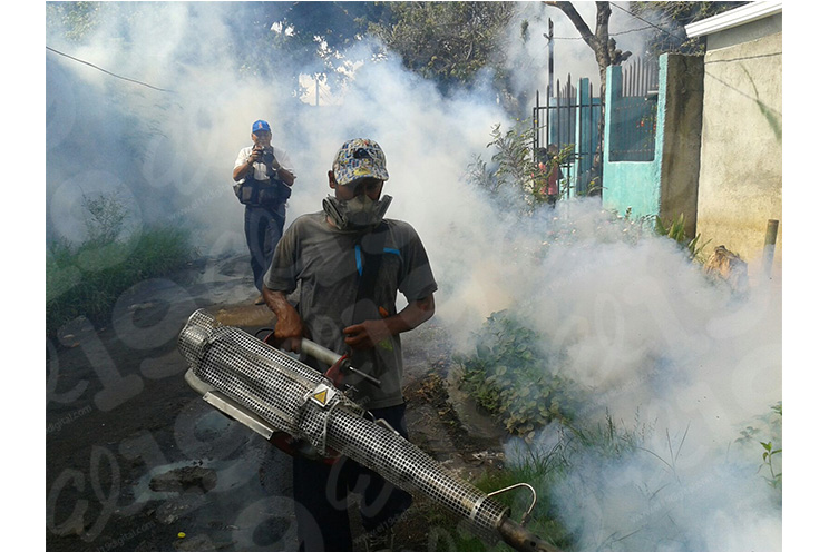 Continúa lucha anti-epidémica en los barrios de Managua