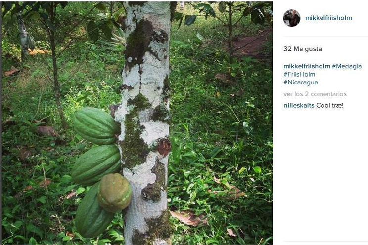 Cacao nicaragüense viajó al espacio