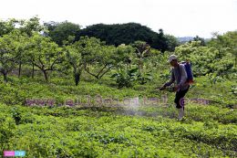 Gobierno da a conocer ejes de fortalecimiento del Sistema de Producción