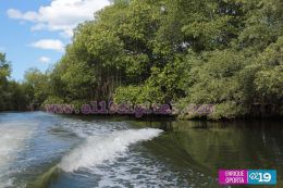 Aventúrate a visitar la Isla Juan Venado y conocer las variedades animales que alberga
