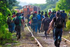 Preparan contra Trump gran fábrica de indocumentados