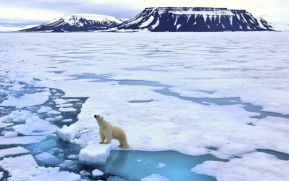 Advierte China sobre reducción de capa de hielo en el Ártico