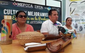 Convocan a Primer Concurso Nacional de Artesanía de Bambú