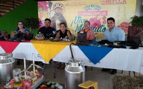 Minguito será celebrado en Parque Nacional de Ferias