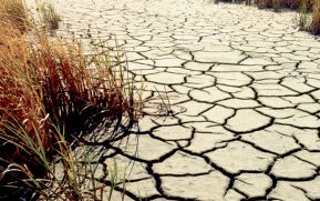 Científicos ponen fecha al cataclismo climático