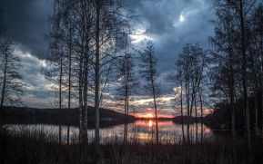 En cuestión de horas desaparecen un lago de 20 metros de profundidad y todos sus peces