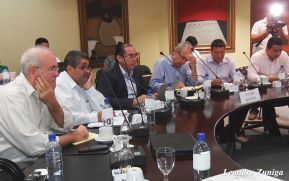 Sector avícola espera llegar a la meta con ventas de diciembre