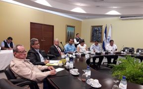 Crece producción y exportaciones del plátano y banano