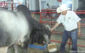 Feria Nacional Agropecuaria promete muchas sorpresas este fin de semana