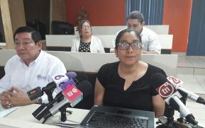 Cebolla amarilla baja de precio