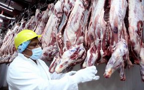 Cosep: Nicaragua podrá exportar carne a todo el mundo