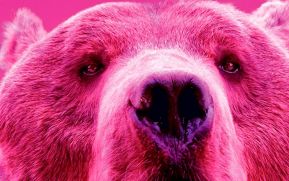 Voces del cine latinoamericano desde Berlín